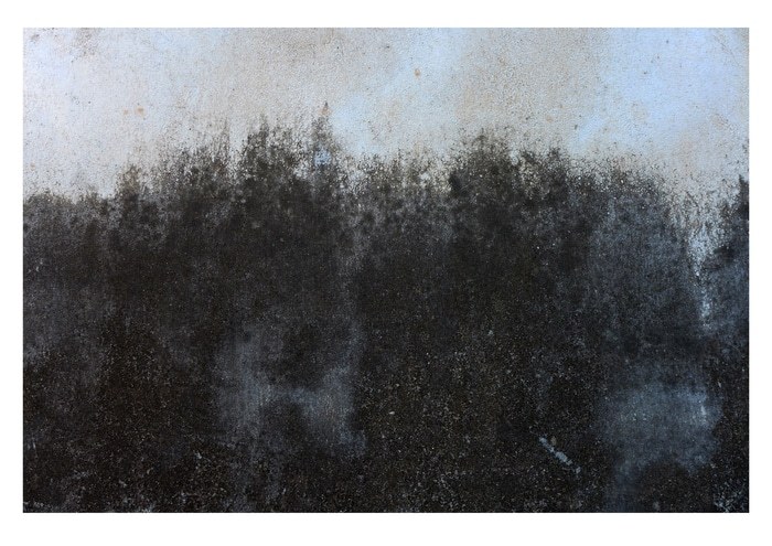 Mirissa I - 1 of 10 Limited Edition Photograph by Gina Parr Photography