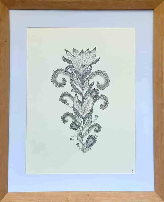 Carnivoralaterra par Clémentine Vauchelet