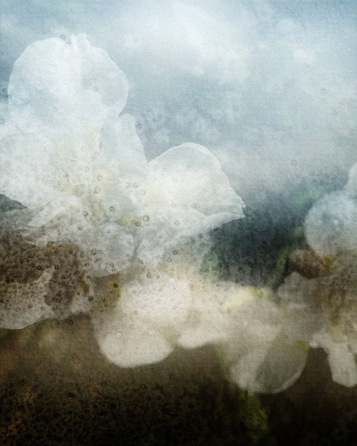 Thalie by Jérôme Pergolesi