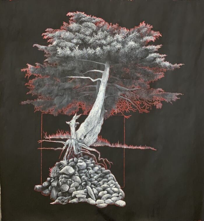 Cèdre O cailloux  by Cyrille Borgnet Dupont