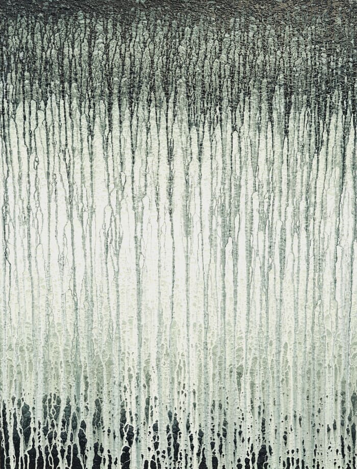 Silver Veils 2024 by Heidi Thompson