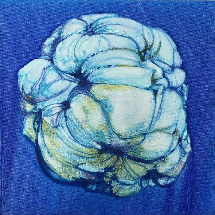 A fortune all for you par Paula MacArthur