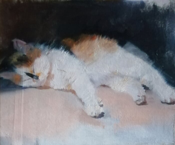 Cornish kitty von Rosemary Burn