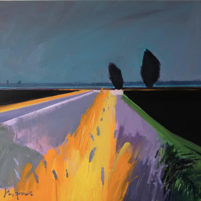 Wet evening in the Black Fens, Aug 2025 by Fred Ingrams