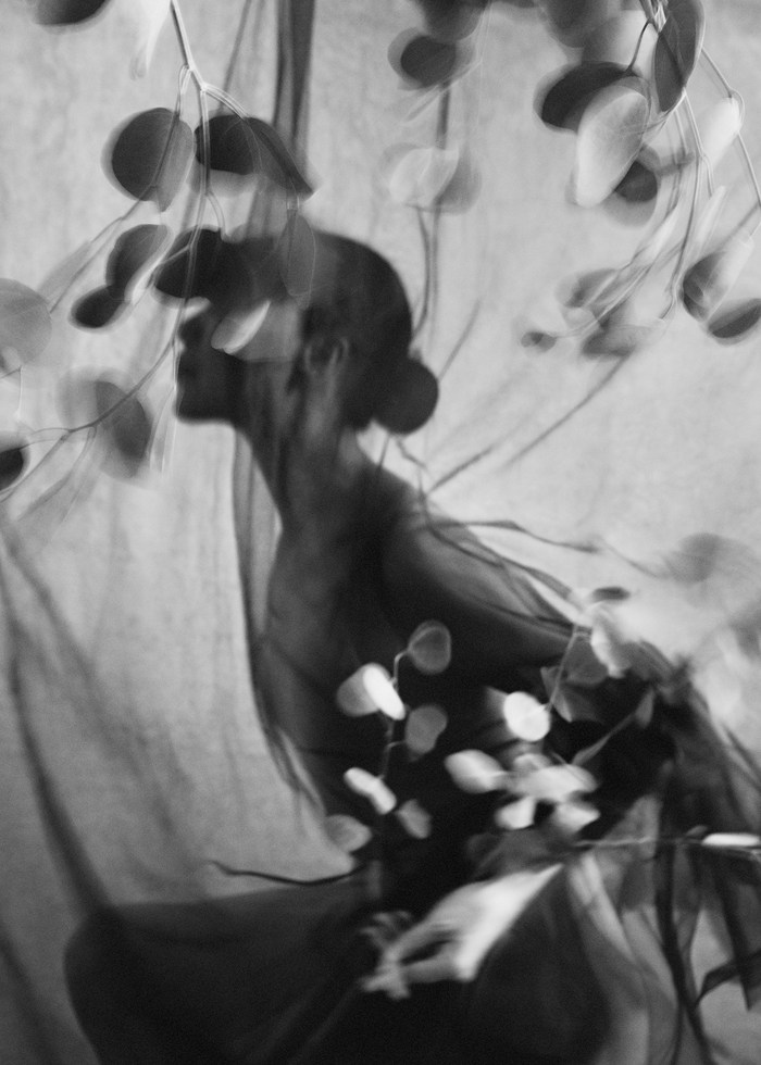  Veiled Whispers - VI by Xidong Luo