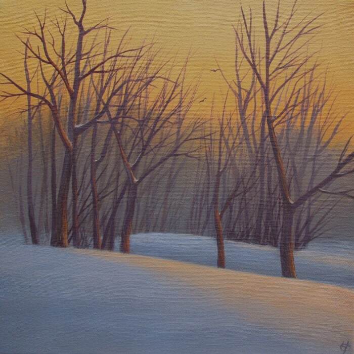 Silence un soir d'hiver by Yves Ogier