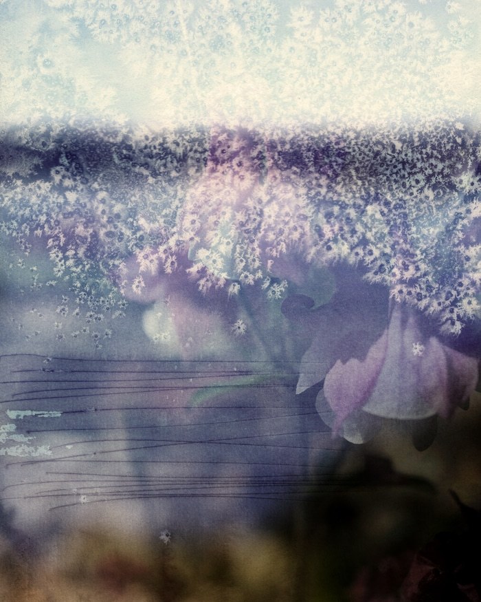 Galatée by Jérôme Pergolesi