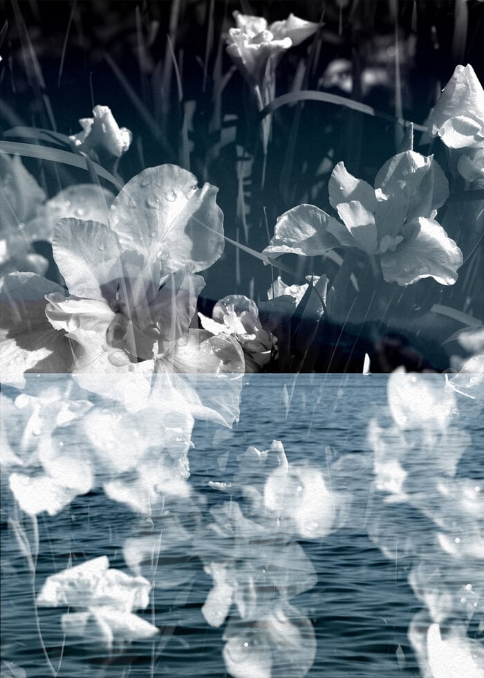 Sofiano by Jérôme Pergolesi