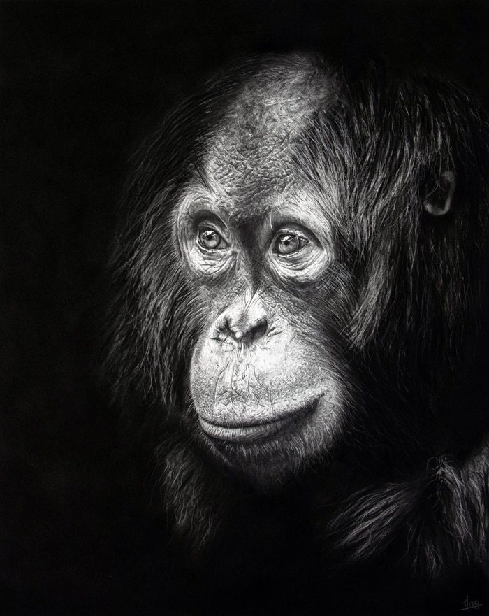 Les Yeux de la Sagesse von MagLM