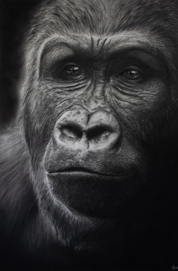 Sérénité von MagLM