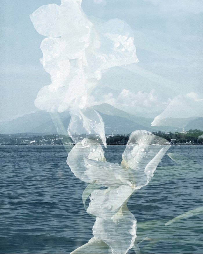 Halia by Jérôme Pergolesi