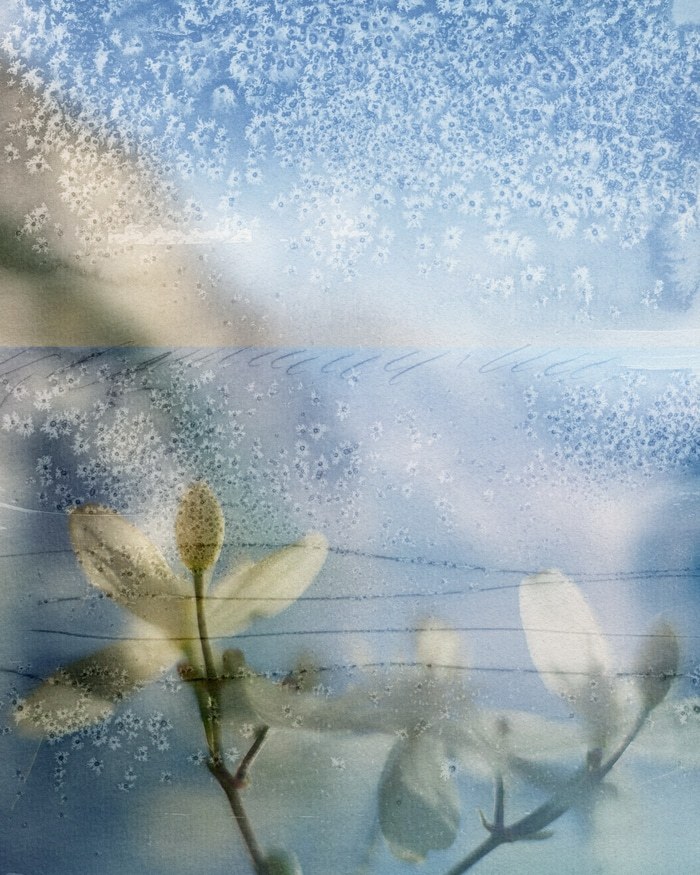 Thetis par Jérôme Pergolesi