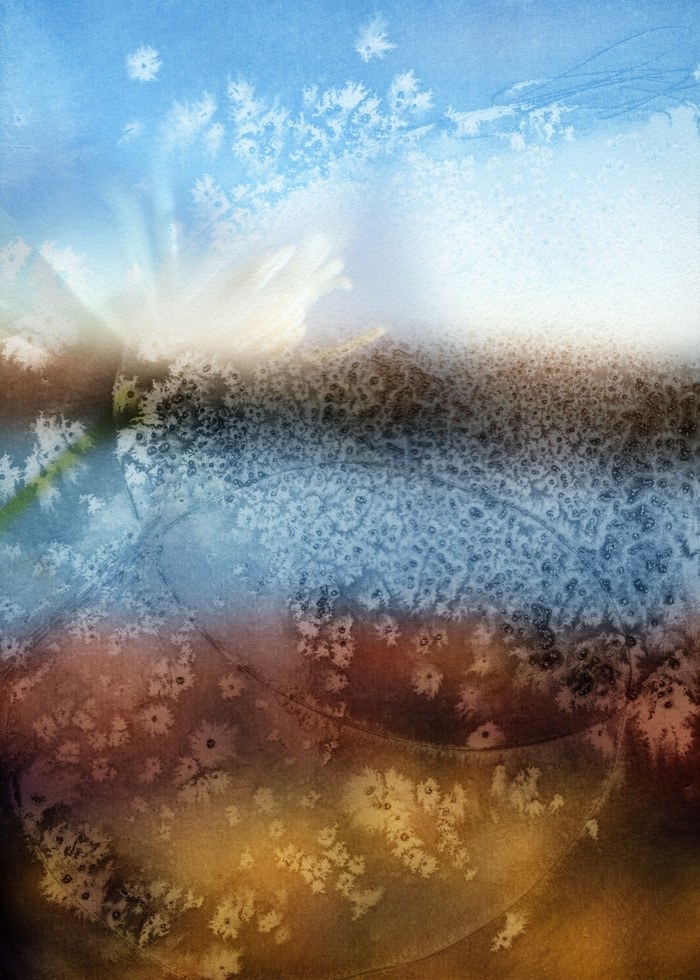 Astrée von Jérôme Pergolesi