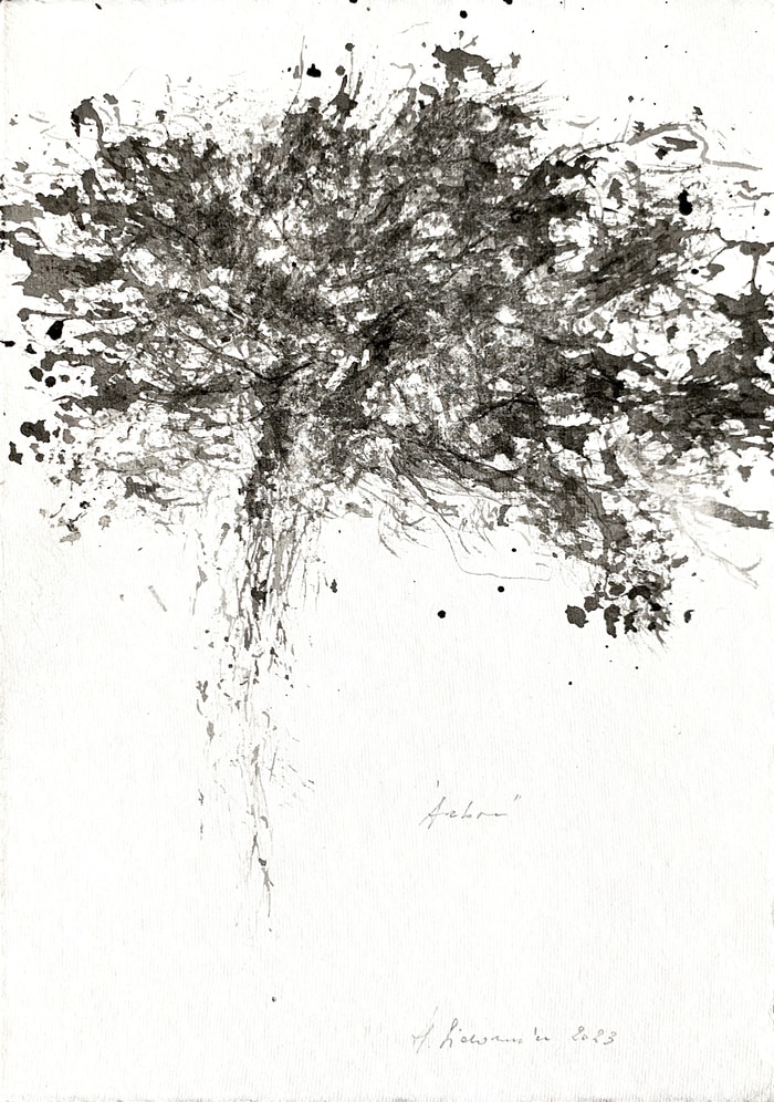 ARBRE by Hanna Sidorowicz