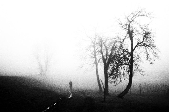 Follow me von Lise Hébuterne