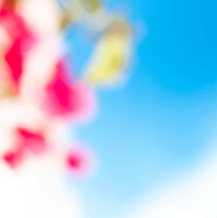 Soft Sea Flower 55 - Summer by Bruno Houdayer