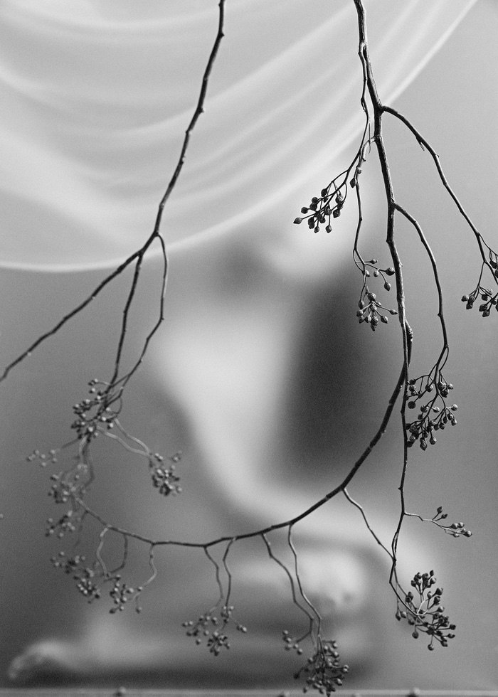 Autumnal Resonance - XI by Xidong Luo