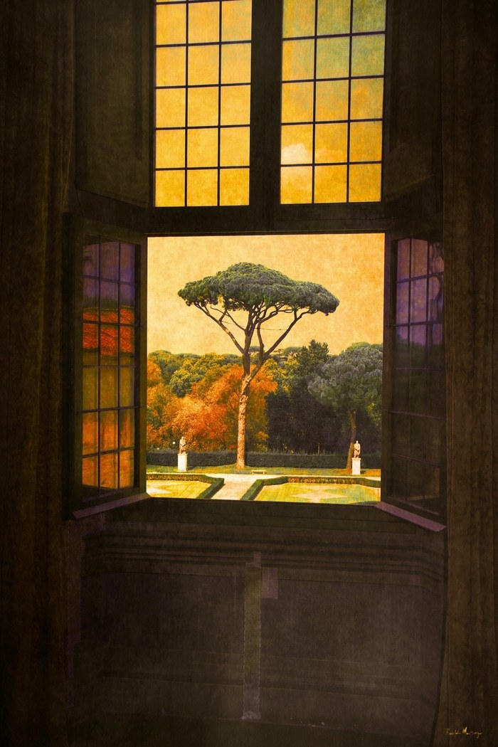 Le pin parasol d'Ingres - Rome  par Rodolphe Martinez