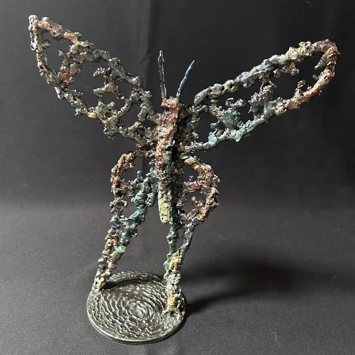 Papillon 56-25 par Philippe Buil