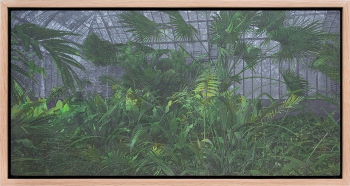 Les serres d'Auteuil XII by Eric Mercier