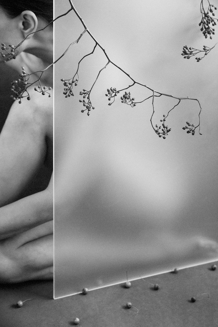 Autumnal Resonance - III by Xidong Luo