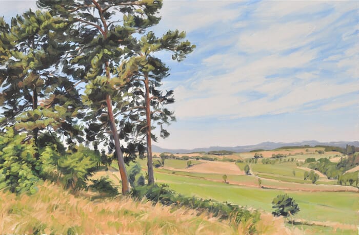 June 24, summer light, Velay Mountains par Anne Baudequin