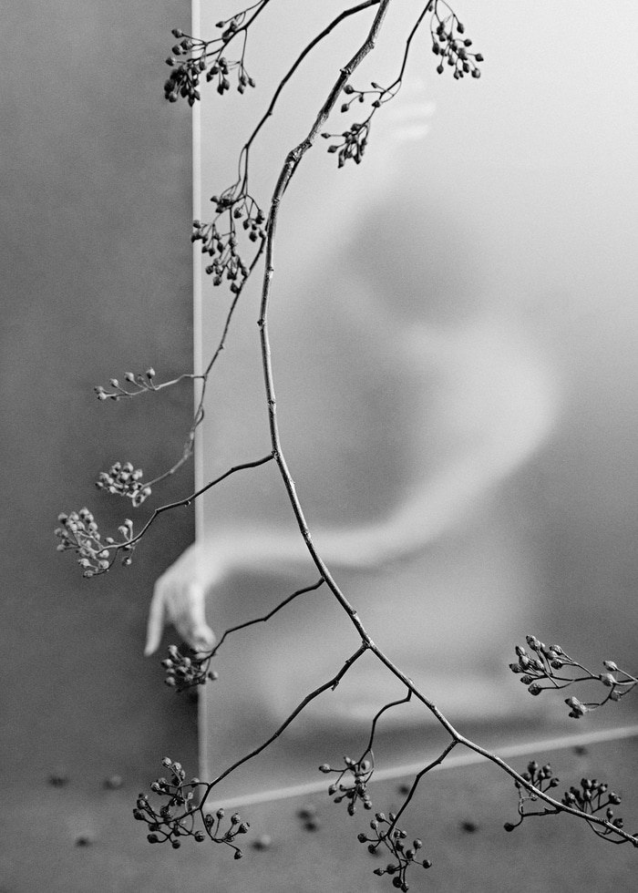 Autumnal Resonance - V by Xidong Luo