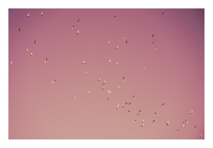 Gulf of Eilat #2 by Tal Paz-Fridman