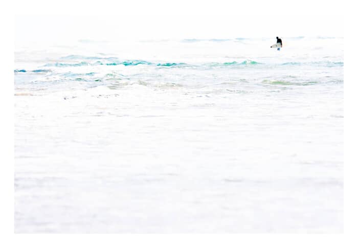 Surfer von Tal Paz-Fridman