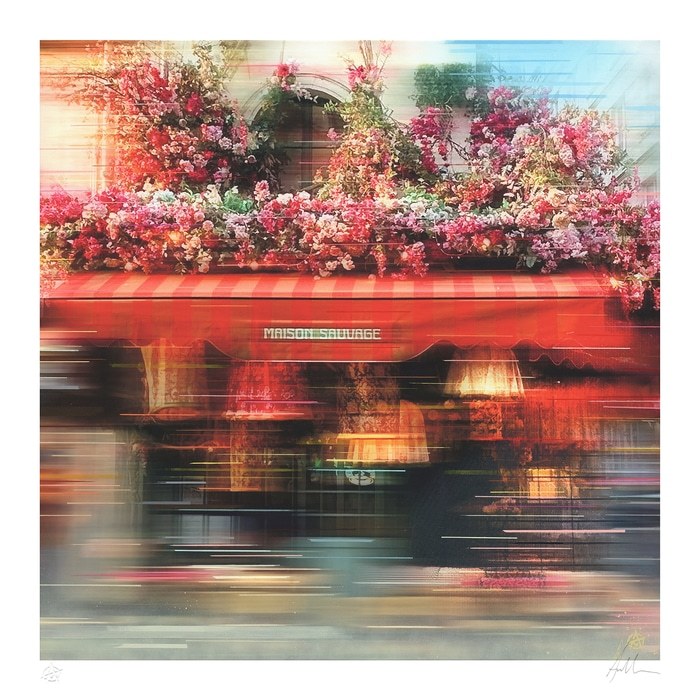 Maison Sauvage by Anil Mistry