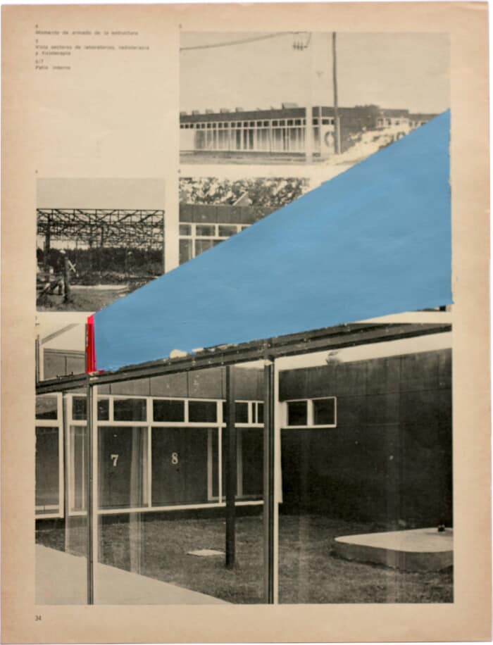 XV par Luciana Levinton