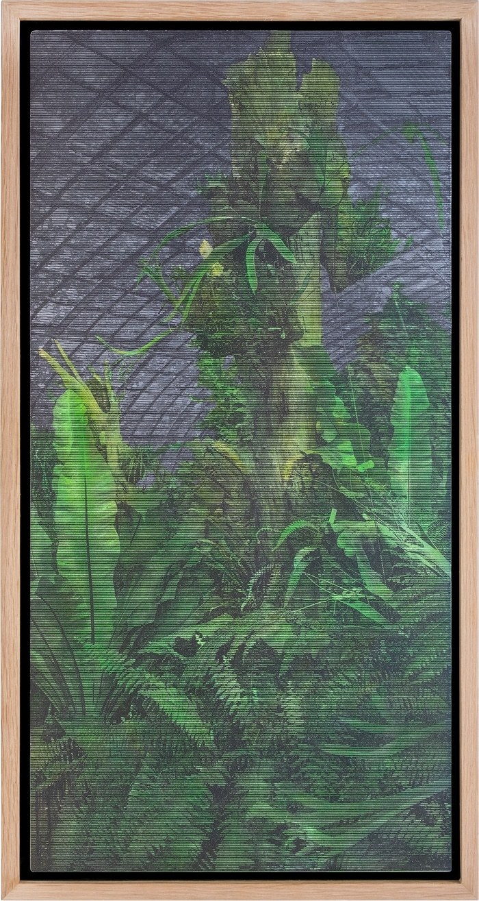 Les serres d'Auteuil XV by Eric Mercier