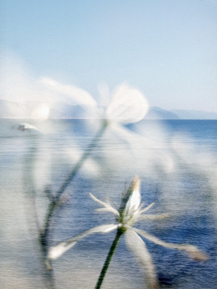 Celso by Jérôme Pergolesi