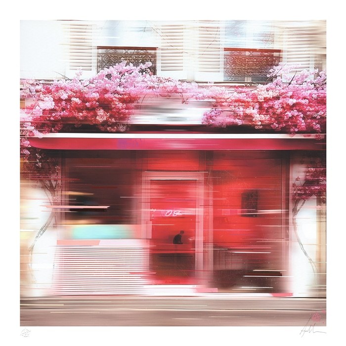 O'Sha by Anil Mistry