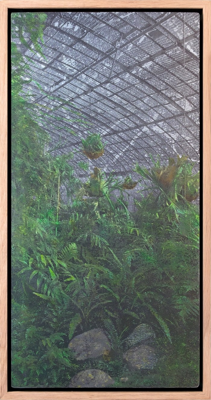 Les serres d'Auteuil IX by Eric Mercier