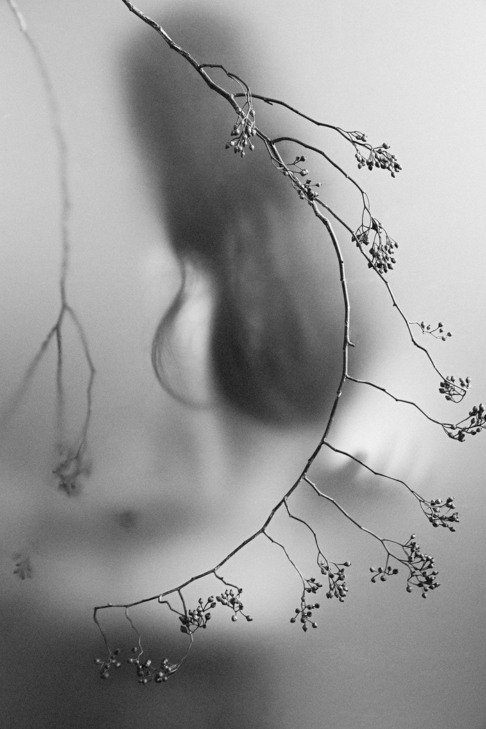 Autumnal Resonance - IV by Xidong Luo