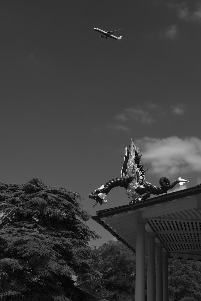 Two Dragons (Kew Gardens, London) by Geoffrey Ansel Agrons
