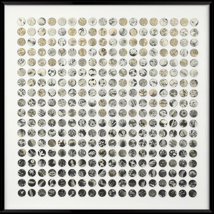 Three Hundred And Twenty Monochrome Botanical Dots Collage by Amelia Coward