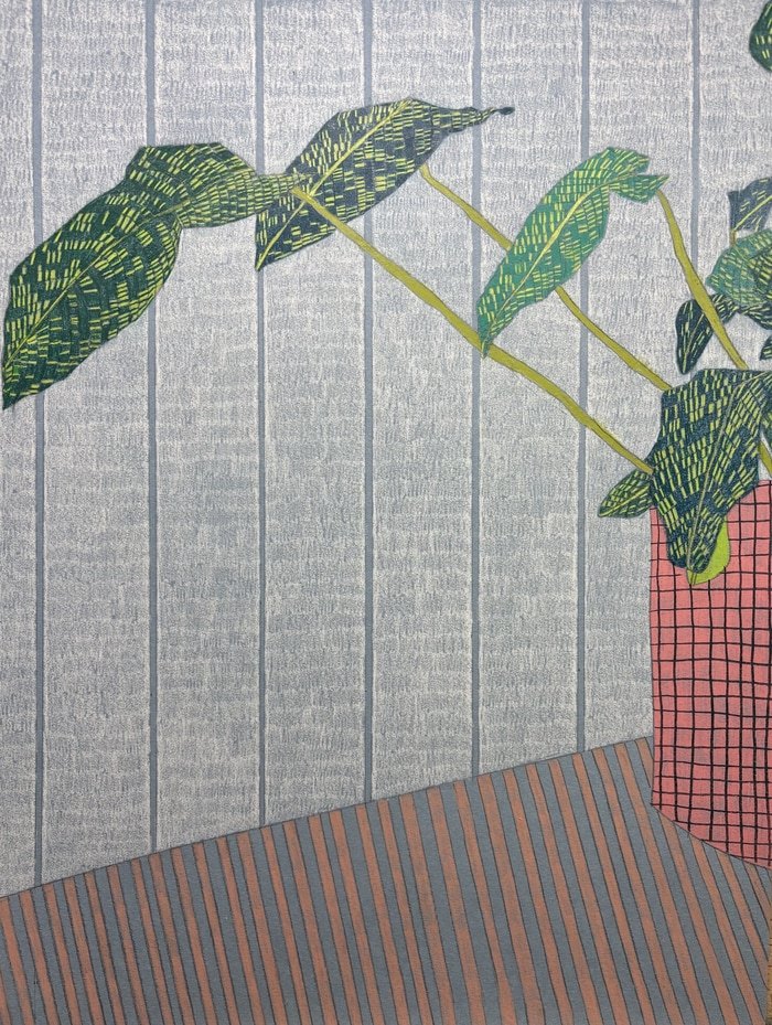 Houseplant Study 3  by Clare Halifax