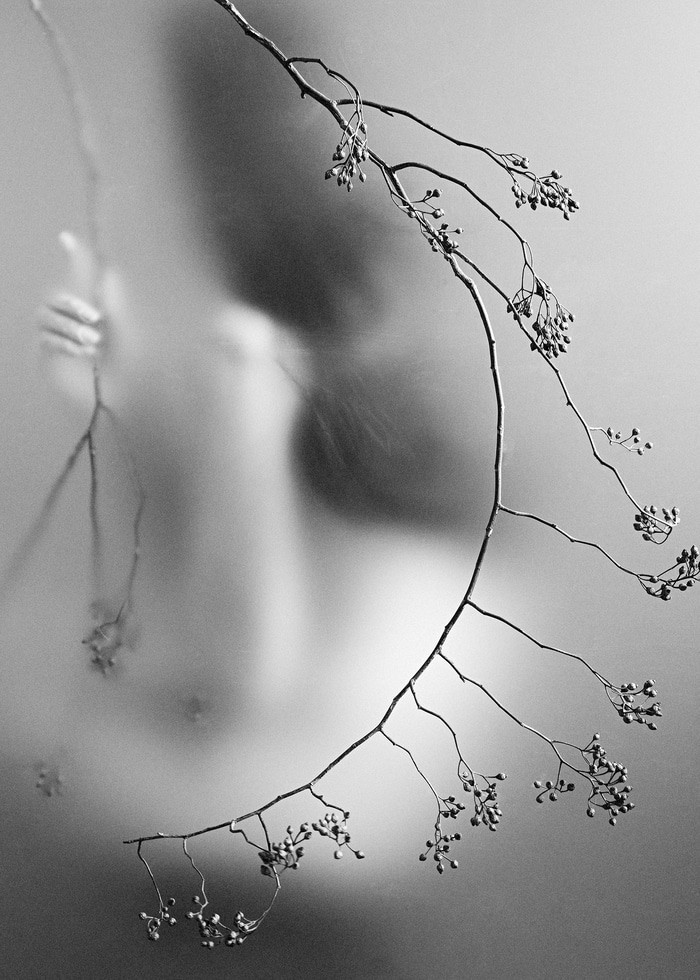 Autumnal Resonance - VIII by Xidong Luo