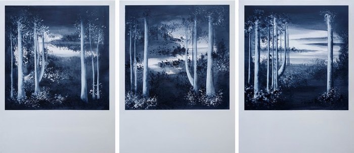 And I slip like the stars into obscurity von Nadege Druzkowski