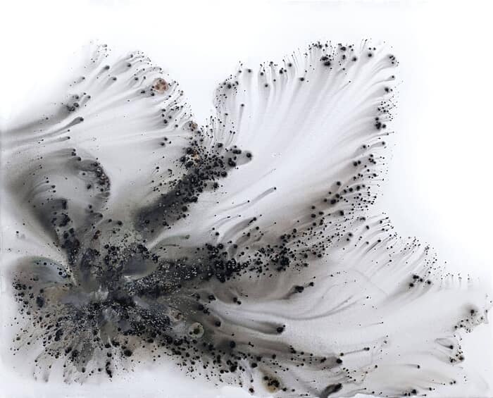 Nature 520 von Muriel Napoli