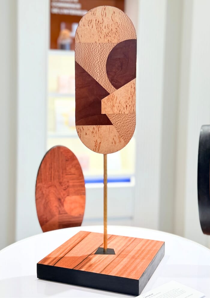 Le guardien von Amicie de Bouteiller