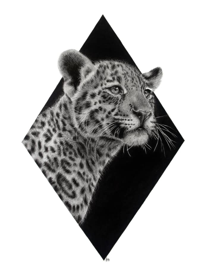 Bébé Jaguar by MagLM