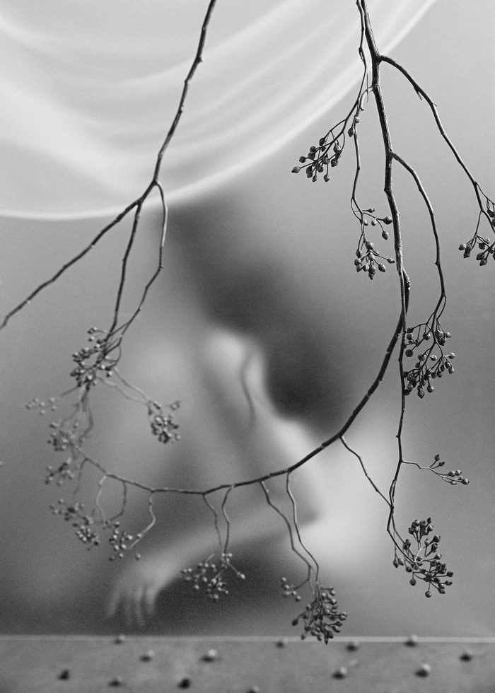 Autumnal Resonance - XII by Xidong Luo