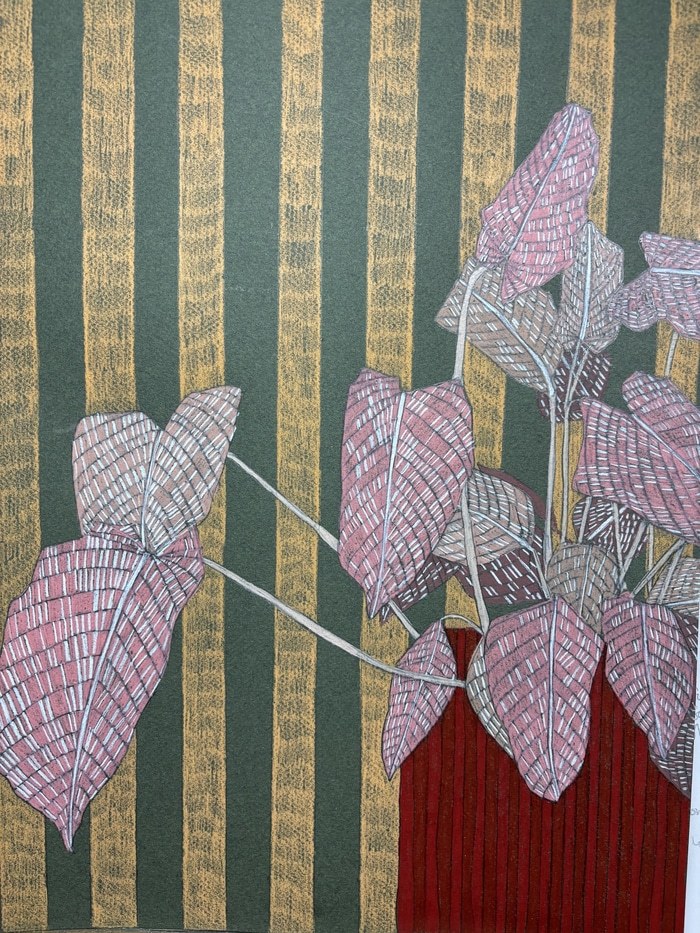 House Plant Study 2  by Clare Halifax