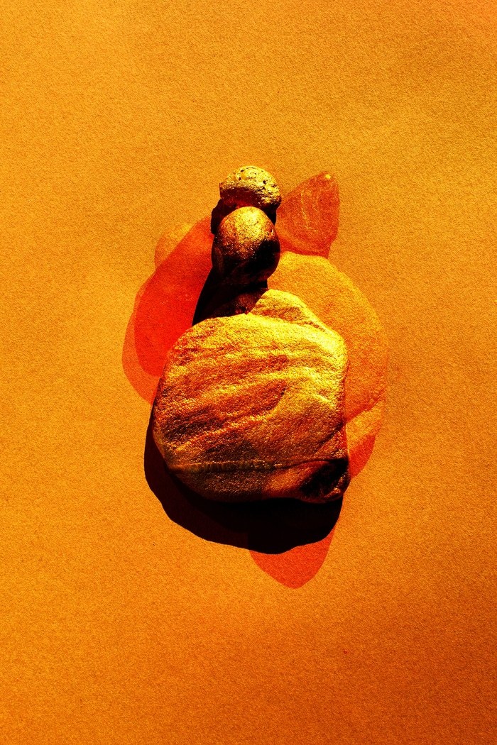 Sunny afternoon - 30 by Emilie Moysson