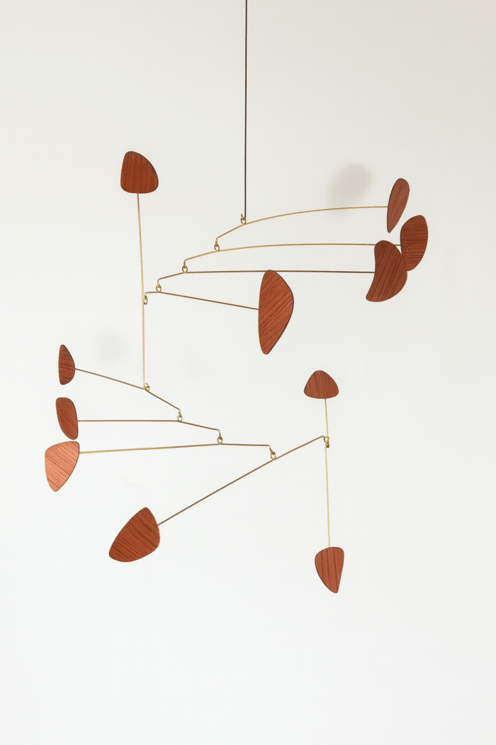 Anatomie d'une coquille by Amicie de Bouteiller