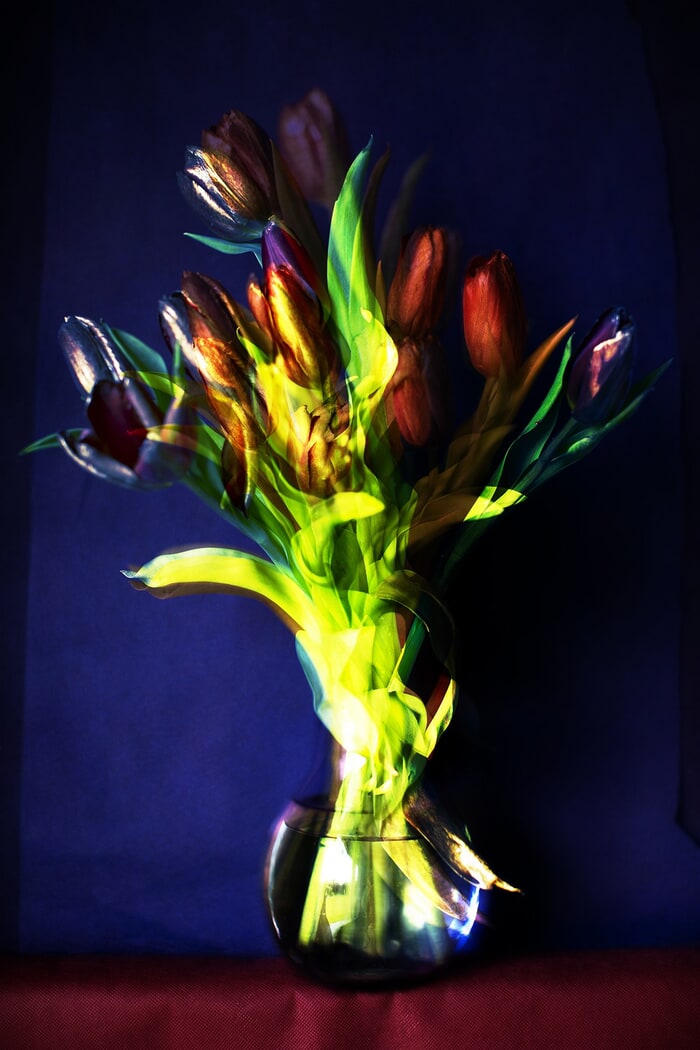 Sunny afternoon-24 von Emilie Moysson