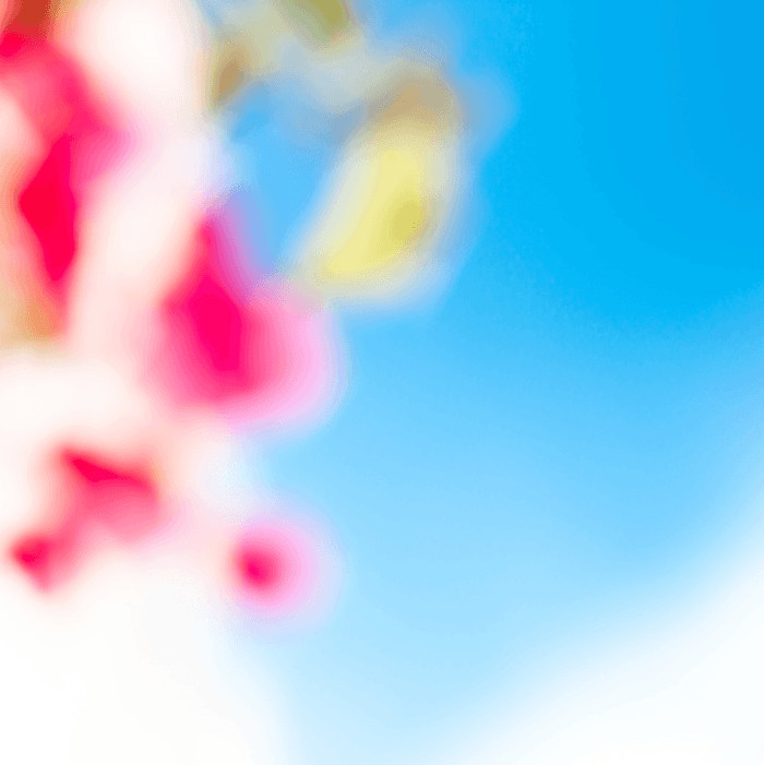 Soft Sea Flower 60 - Summer by Bruno Houdayer